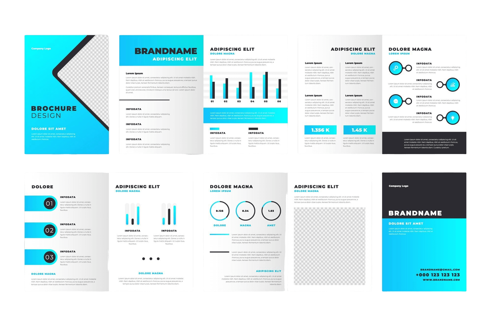 Company Profile